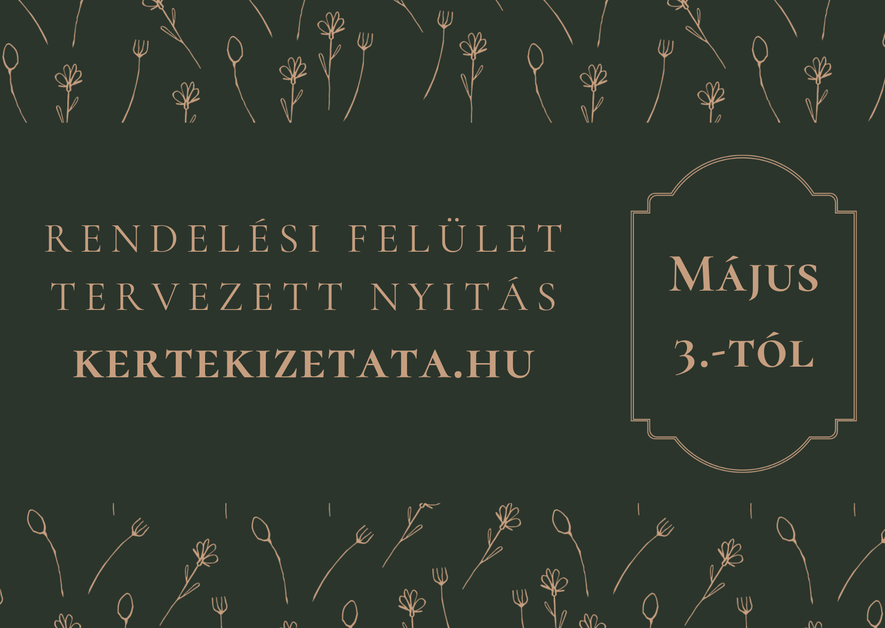 Rendelési felület nyitás