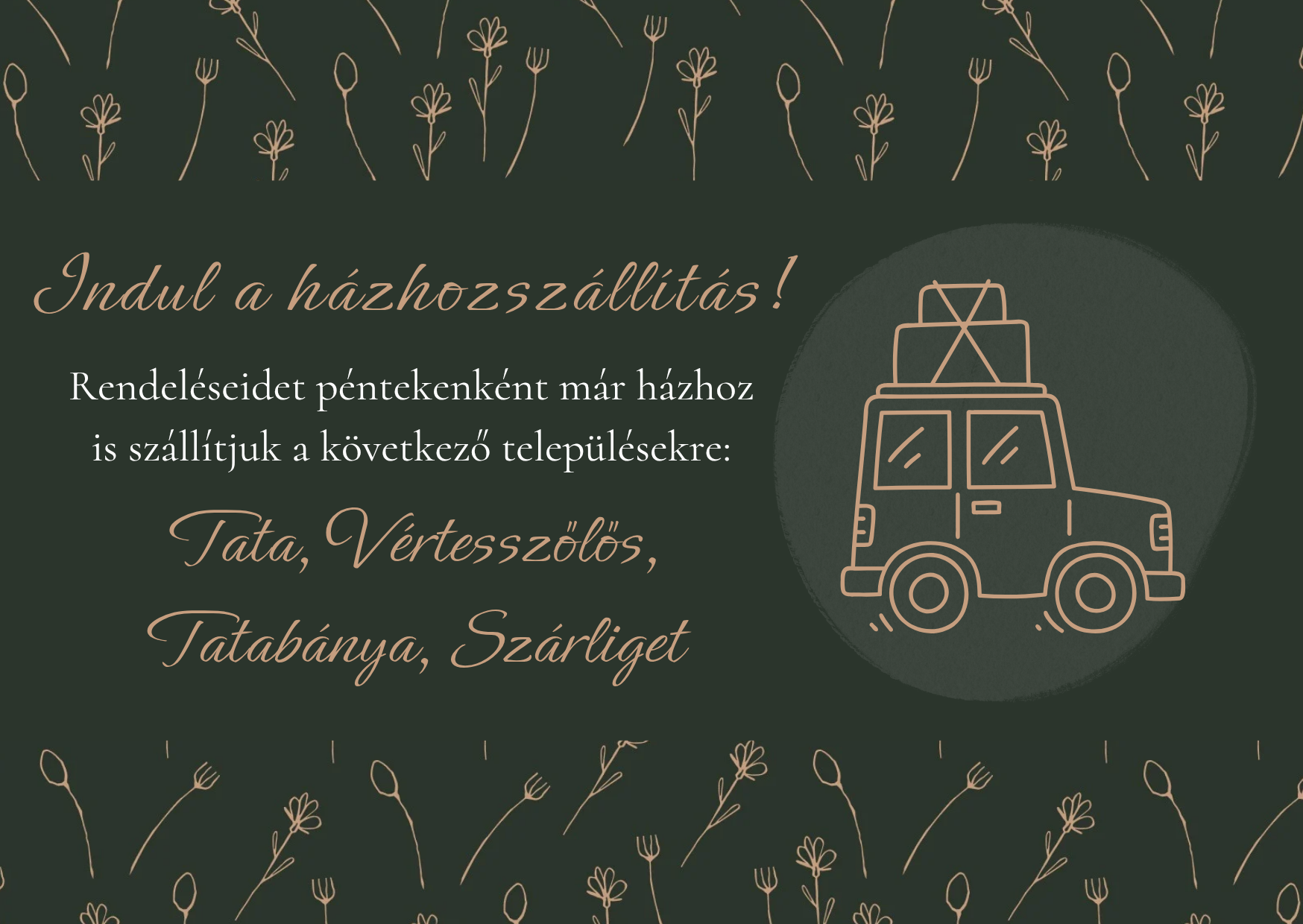 Házhozszállítás